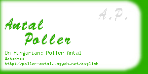 antal poller business card